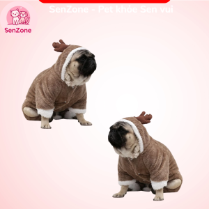 Set tuần lộc ngộ nghĩnh đáng yêu