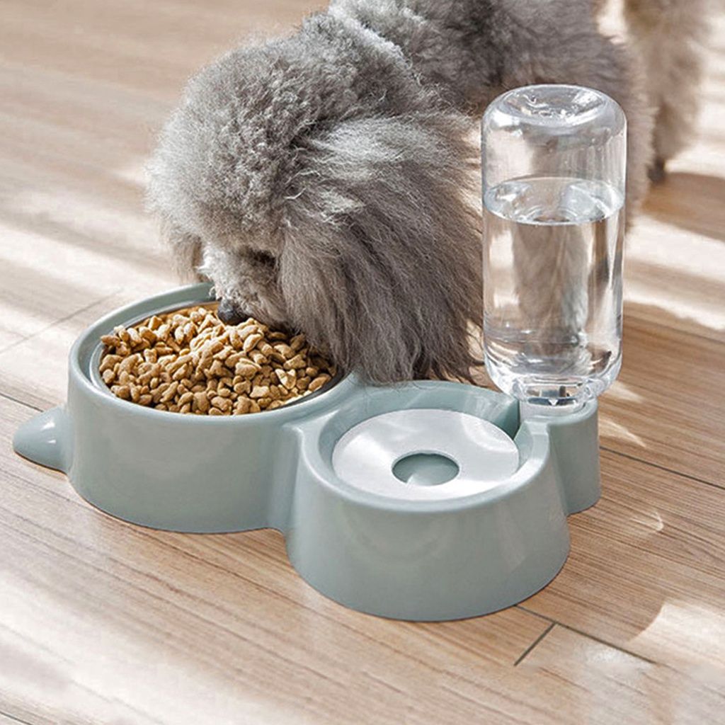 Cách lựa chọn phụ kiện thú cưng đơn giản