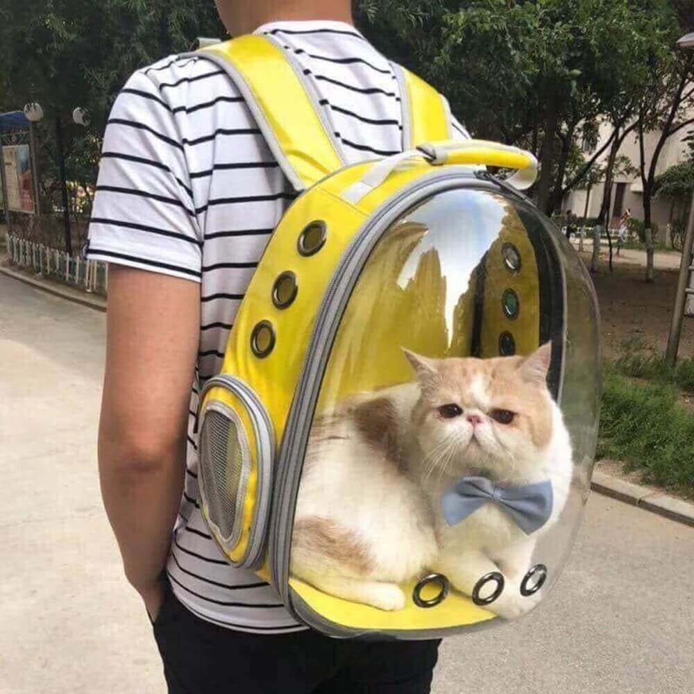 balo đựng thú cưng giá rẻ