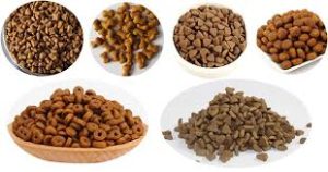 cửa hàng đồ dùng chó mèo thức ăn