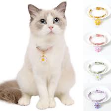 tiêu chí chọn vòng cổ định vị chó mèo