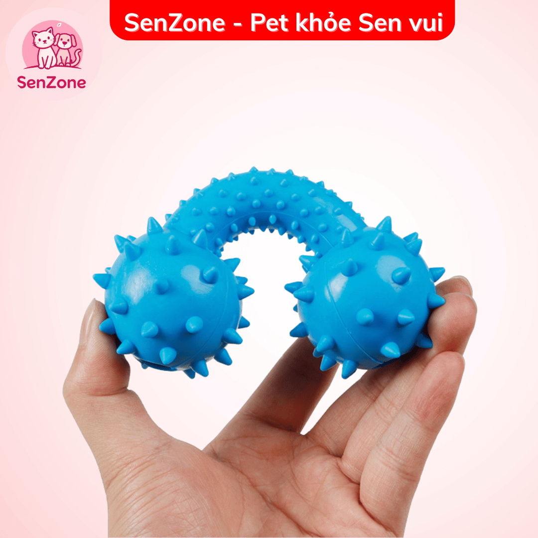 Quả tạ đồ chơi cho thú cưng - Ảnh 5