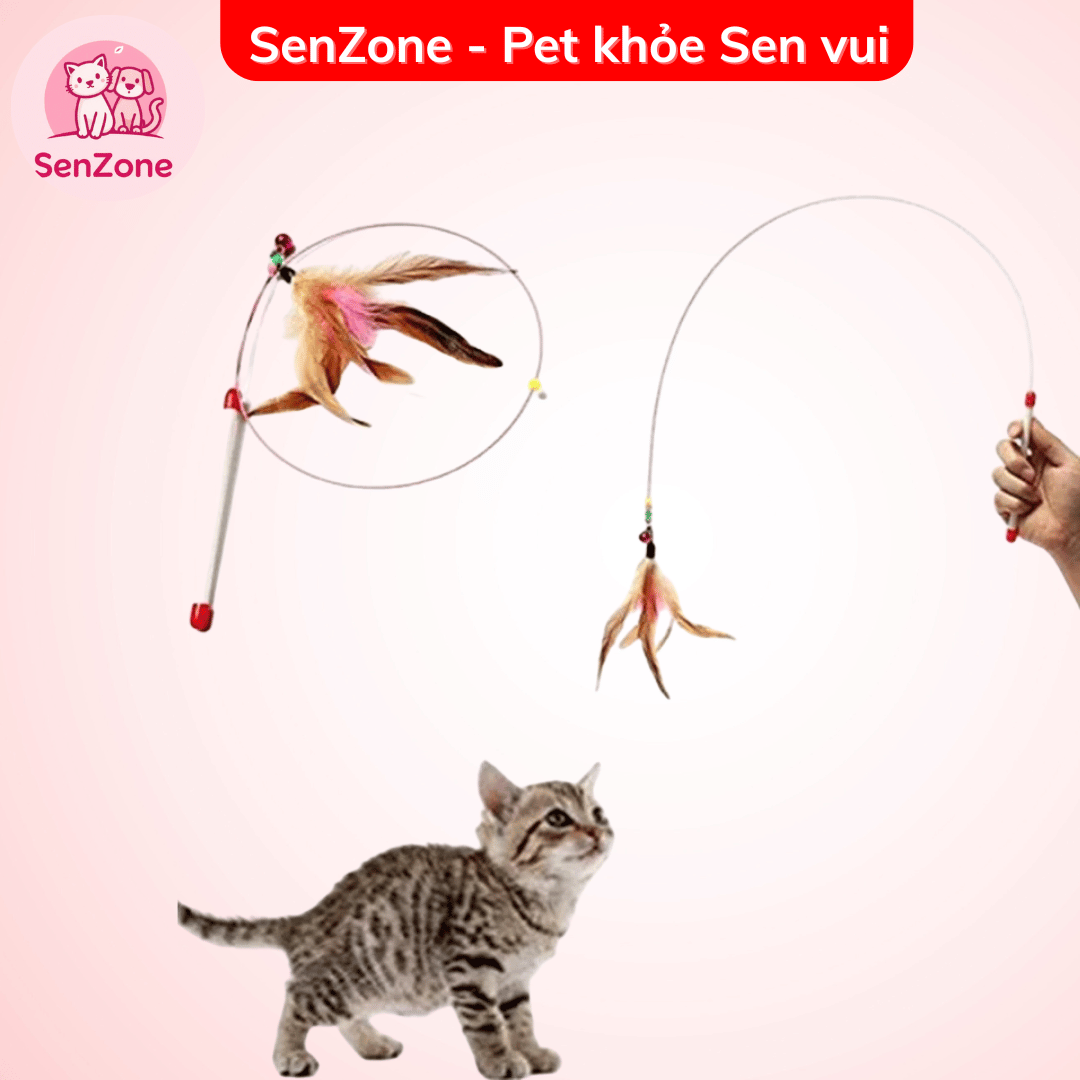 Cần câu mèo - Ảnh 2