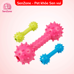 Quả tạ đồ chơi cho thú cưng