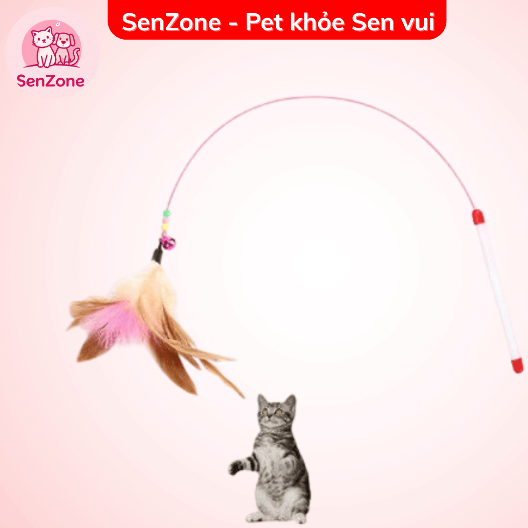 Cần câu mèo - Ảnh 3