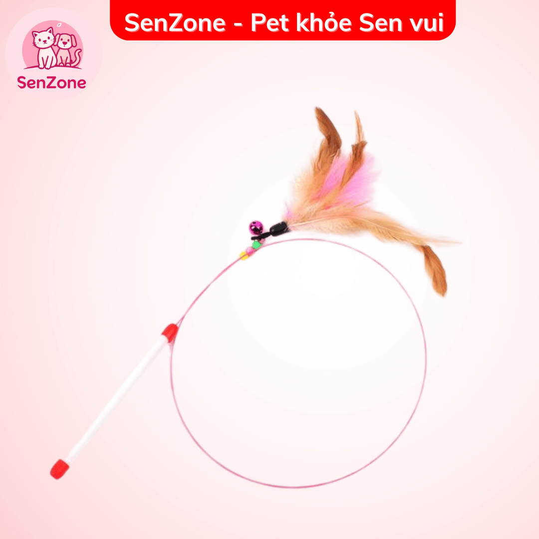 Cần câu mèo - Ảnh 4