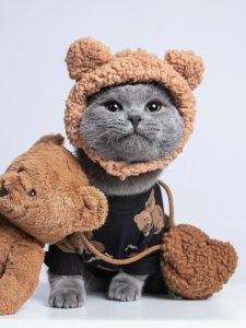 quần áo thú cưng