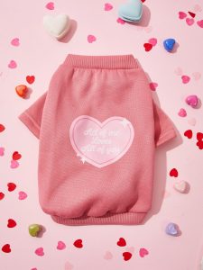 quần áo thú cưng