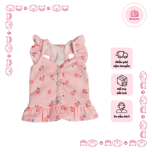 dịch vụ thú cưng