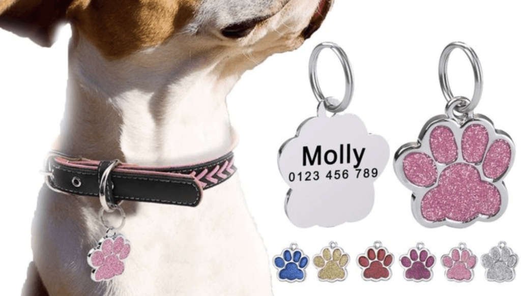 dịch vụ thú cưng