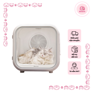 dịch vụ thú cưng