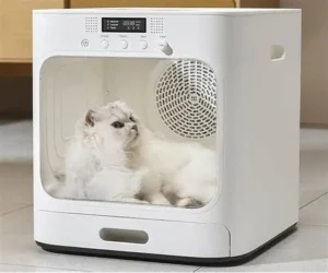 Máy sấy lông cho mèo mang lại nhiều lợi ích nổi bật cho cả thú cưng và người nuôi. Thiết bị giúp làm khô lông nhanh chóng và đồng đều, hạn chế tình trạng ẩm ướt gây nấm da, viêm da và mùi hôi khó chịu. Nhờ nhiệt độ ổn định và độ ồn thấp, máy sấy lông cho mèo giúp mèo cảm thấy dễ chịu, giảm stress và hợp tác hơn sau mỗi lần tắm. Bên cạnh đó, luồng gió êm còn giúp giữ bộ lông mềm mượt, bông xốp tự nhiên, đặc biệt phù hợp với các giống mèo lông dài.