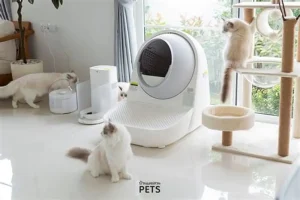 Khi chọn mua máy sấy lông cho mèo, bạn nên cân nhắc những tiêu chí quan trọng sau để đảm bảo hiệu quả và an toàn cho thú cưng: độ ồn thấp để tránh làm mèo hoảng sợ, khả năng điều chỉnh nhiệt độ và tốc độ gió linh hoạt phù hợp với từng loại lông, và công suất đủ mạnh để sấy nhanh nhưng không gây khô da. Ngoài ra, hãy ưu tiên những sản phẩm có chất liệu bền, an toàn, thiết kế tiện dụng và kèm theo các chế độ bảo vệ quá nhiệt, giúp máy hoạt động ổn định lâu dài.