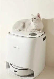 Chọn mua máy sấy lông mèo Xiaomi, bạn nên lưu ý một số tiêu chí quan trọng để đảm bảo sản phẩm phù hợp với nhu cầu và an toàn cho thú cưng. Trước hết, độ ồn là yếu tố hàng đầu — nên chọn máy có hoạt động êm ái để mèo không bị hoảng sợ. Tiếp theo, khả năng điều chỉnh nhiệt độ giúp bạn linh hoạt sấy lông cho từng loại lông và từng tình trạng mèo, tránh làm quá nóng gây khô da. Công suất phù hợp cũng rất cần thiết: mèo lông dài cần máy mạnh hơn để sấy nhanh và đều, trong khi mèo lông ngắn có thể dùng máy công suất vừa.