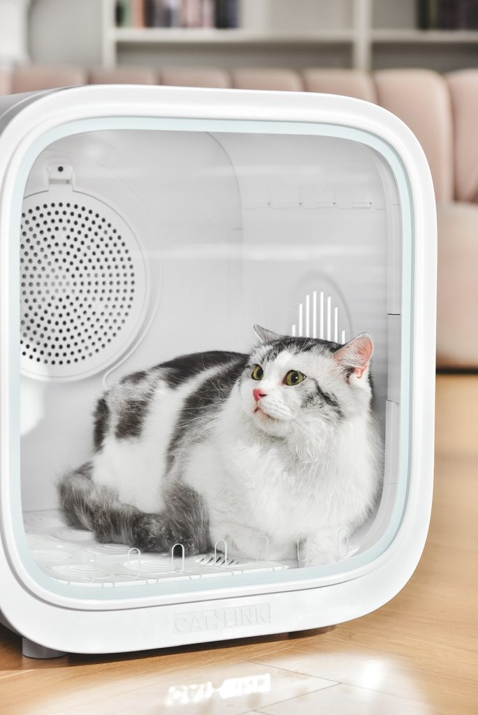 dịch vụ thú cưng