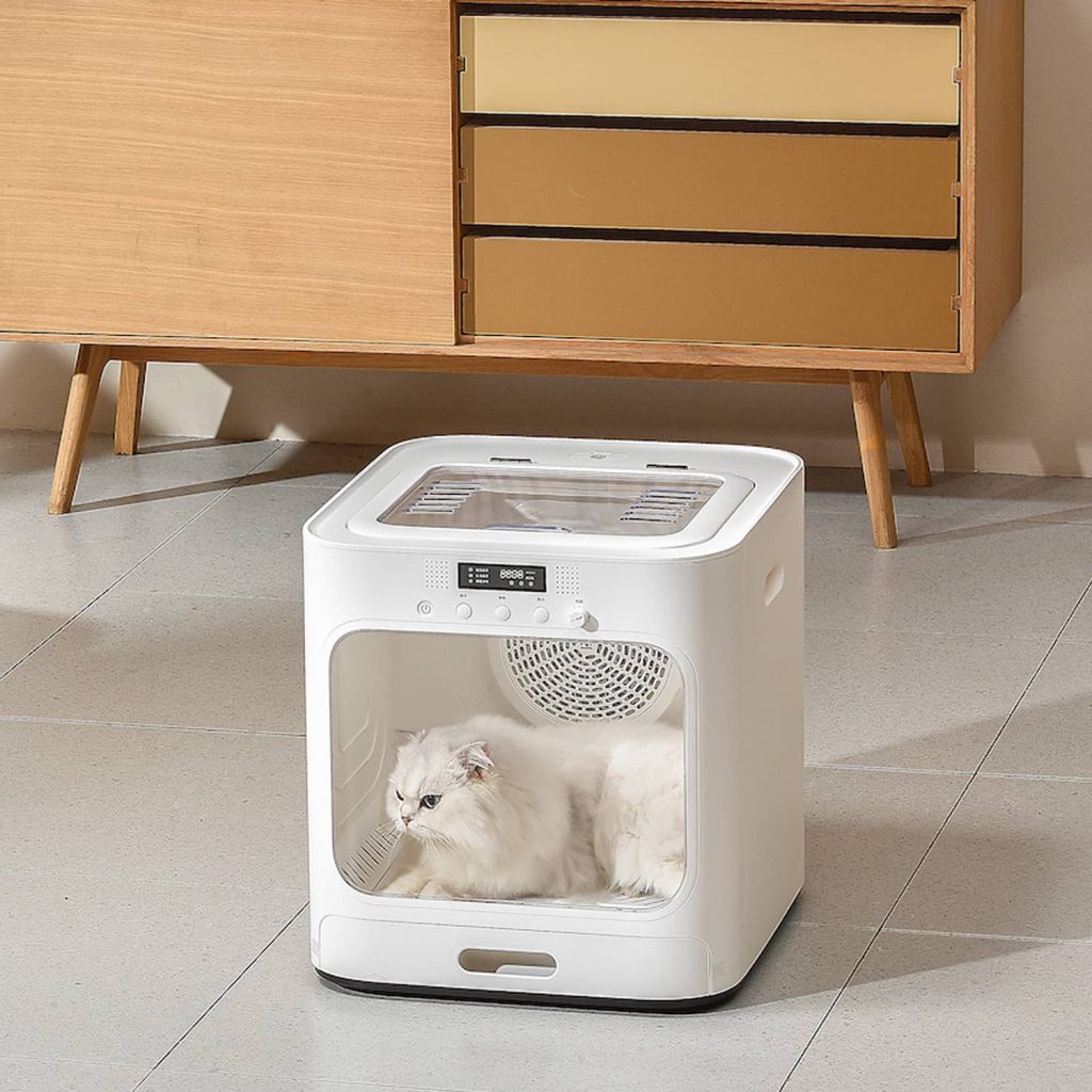 dịch vụ thú cưng