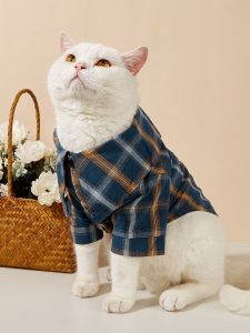 cách may quần áo cho thú cưng