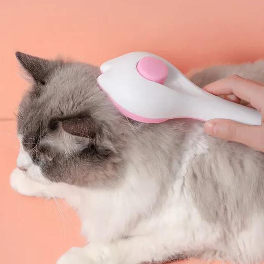 dịch vụ thú cưng