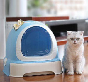 nhà vệ sinh cho chó mèo