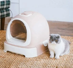 nhà vệ sinh cho thú cưng