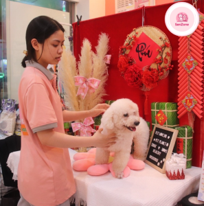 Xu hướng thời trang thú cưng Xuân – Hè 2026 đang chứng kiến sự bùng nổ mạnh mẽ với sự kết hợp giữa tính thẩm mỹ, sự tiện dụng và lối sống bền vững. Không còn đơn thuần là những bộ đồ dễ thương, thời trang dành cho chó mèo ngày nay đã trở thành cách để thể hiện cá tính của cả thú cưng lẫn chủ nuôi.